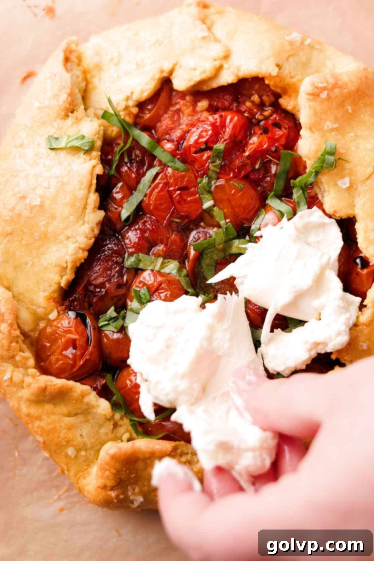 Topping a warm, baked galette with torn pieces of creamy burrata cheese