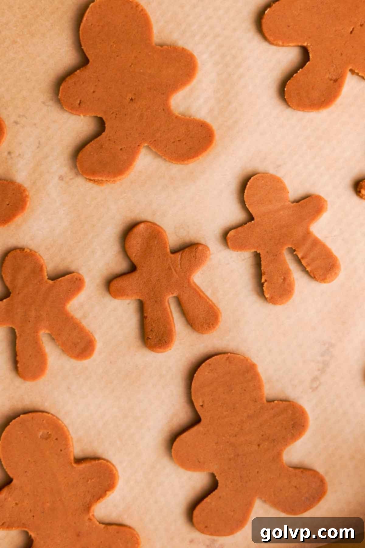 Gingerbread cookies cut into various shapes, arranged on a parchment-lined baking sheet, ready for the oven
