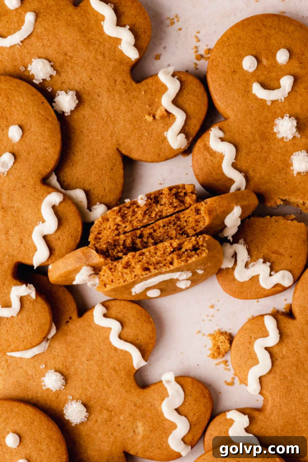 Broken gingerbread cookie revealing its soft, chewy interior texture