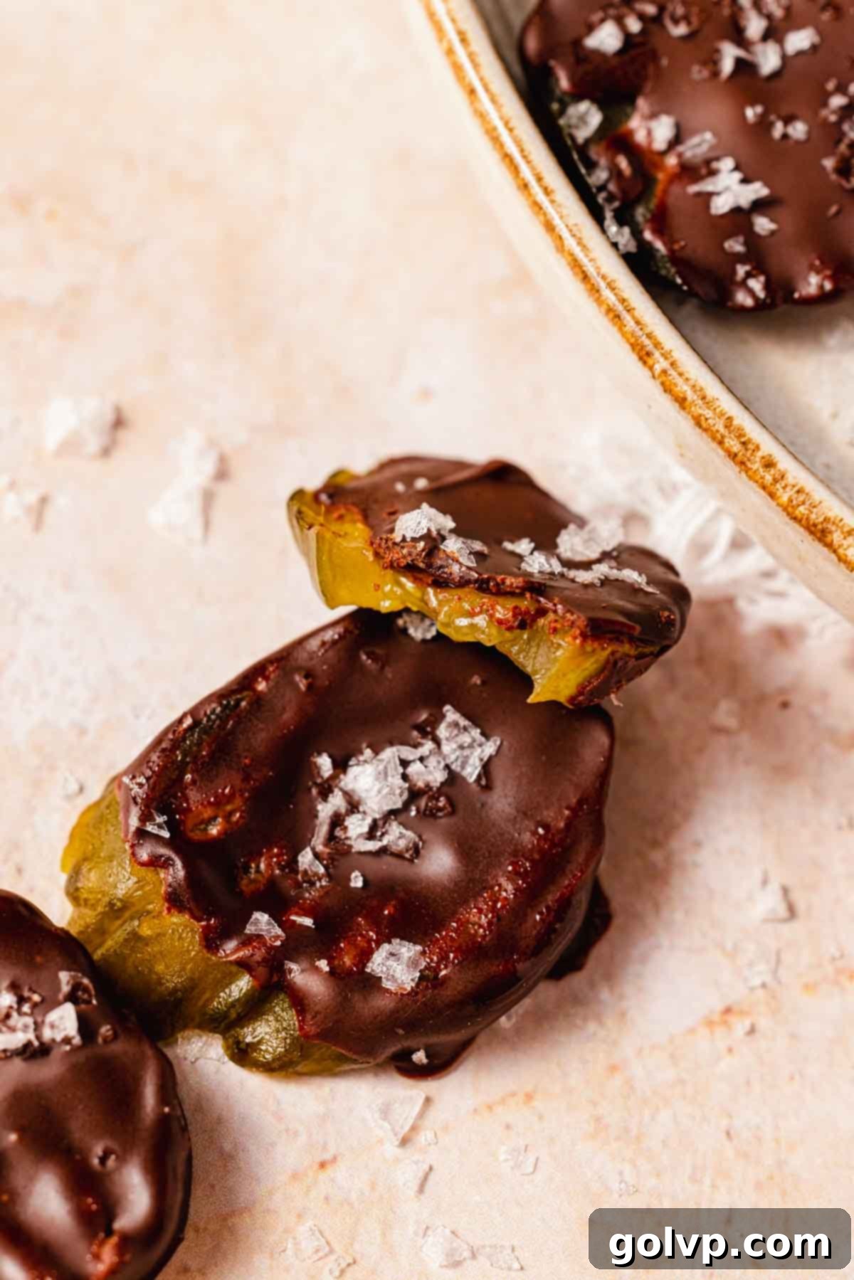bitten pickle chip covered in chocolate and flaky salt