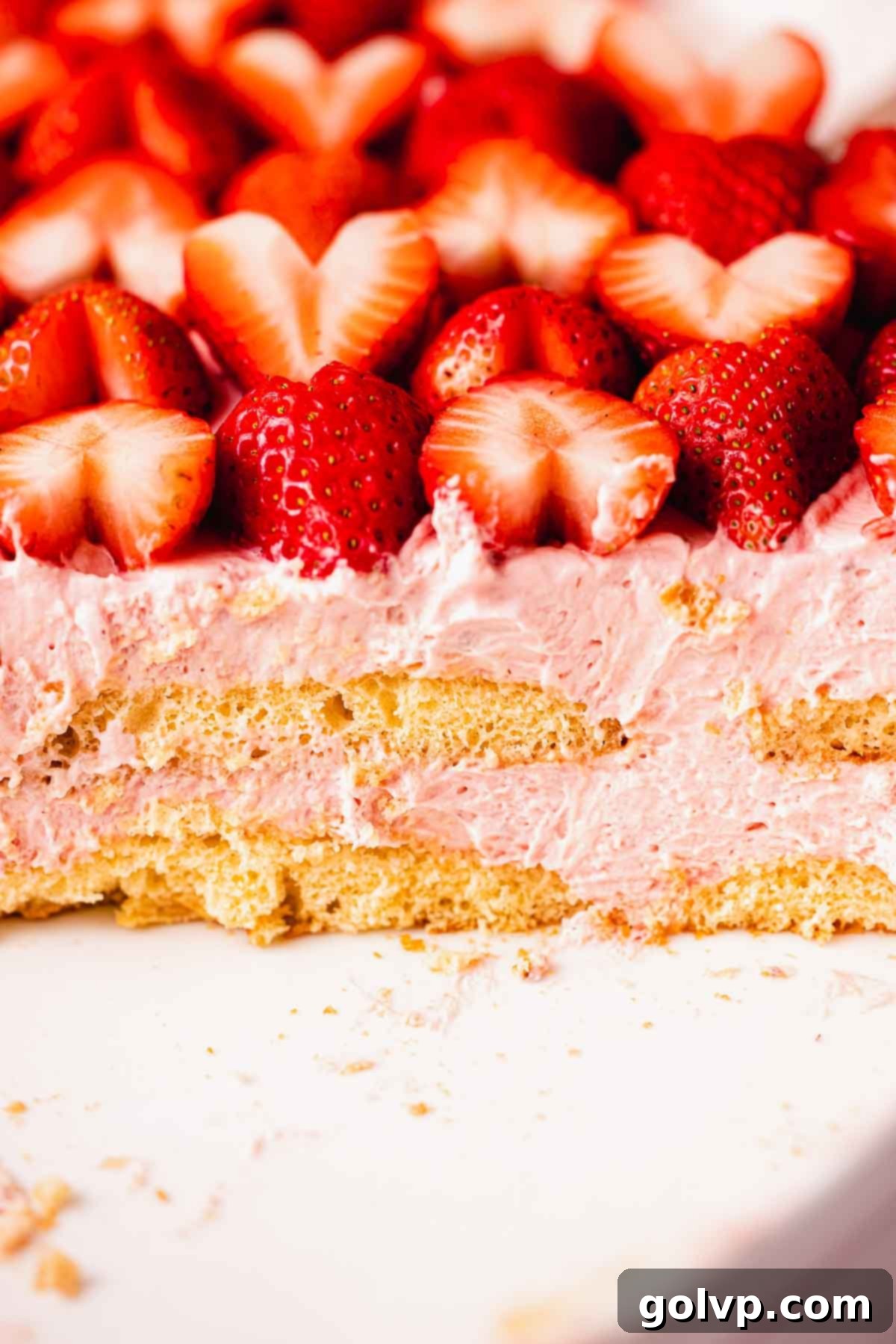 cut strawberry tiramisu in dish with heart shaped fresh strawberries on top