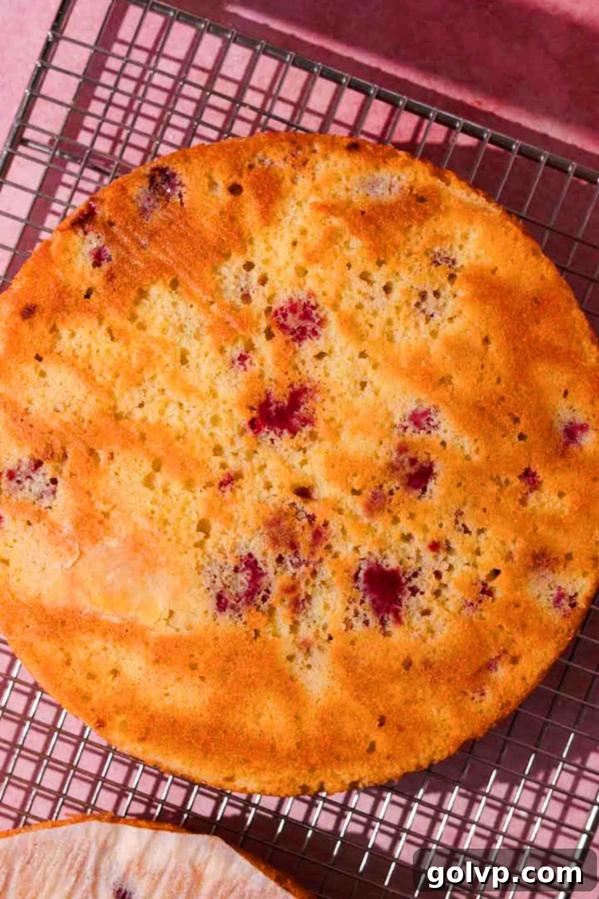 baked cake layer cooling on metal cooling rack
