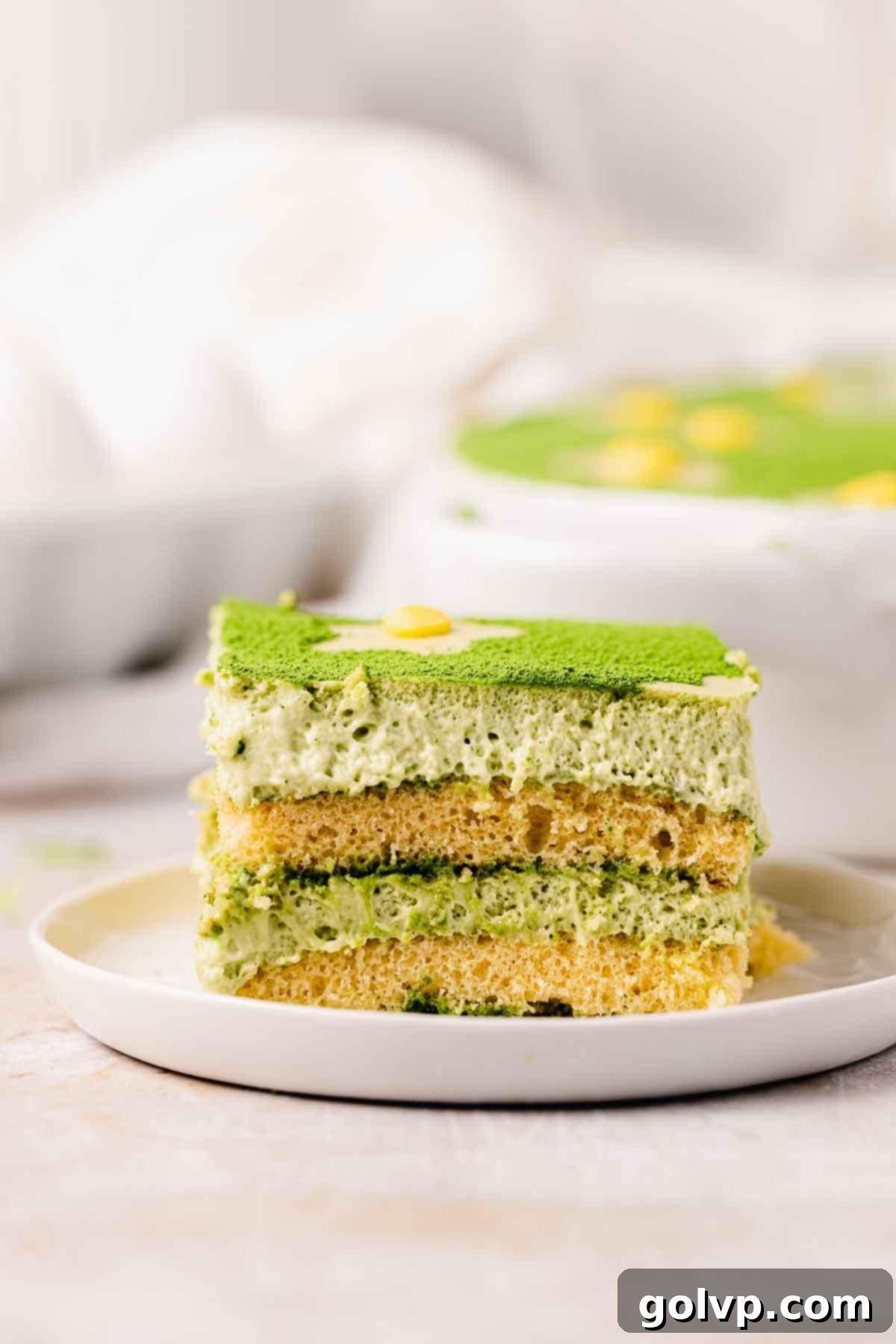 perfectly sliced matcha tiramisu on a white plate, showing distinct layers