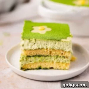 closeup slice of matcha tiramisu with matcha tea, showing the delicate layers and dusting