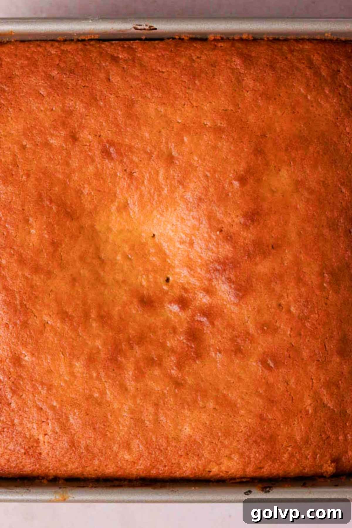 A perfectly baked, golden-brown lemon olive oil cake cooling in its square pan, ready to be inverted and reveal its lemon topping.