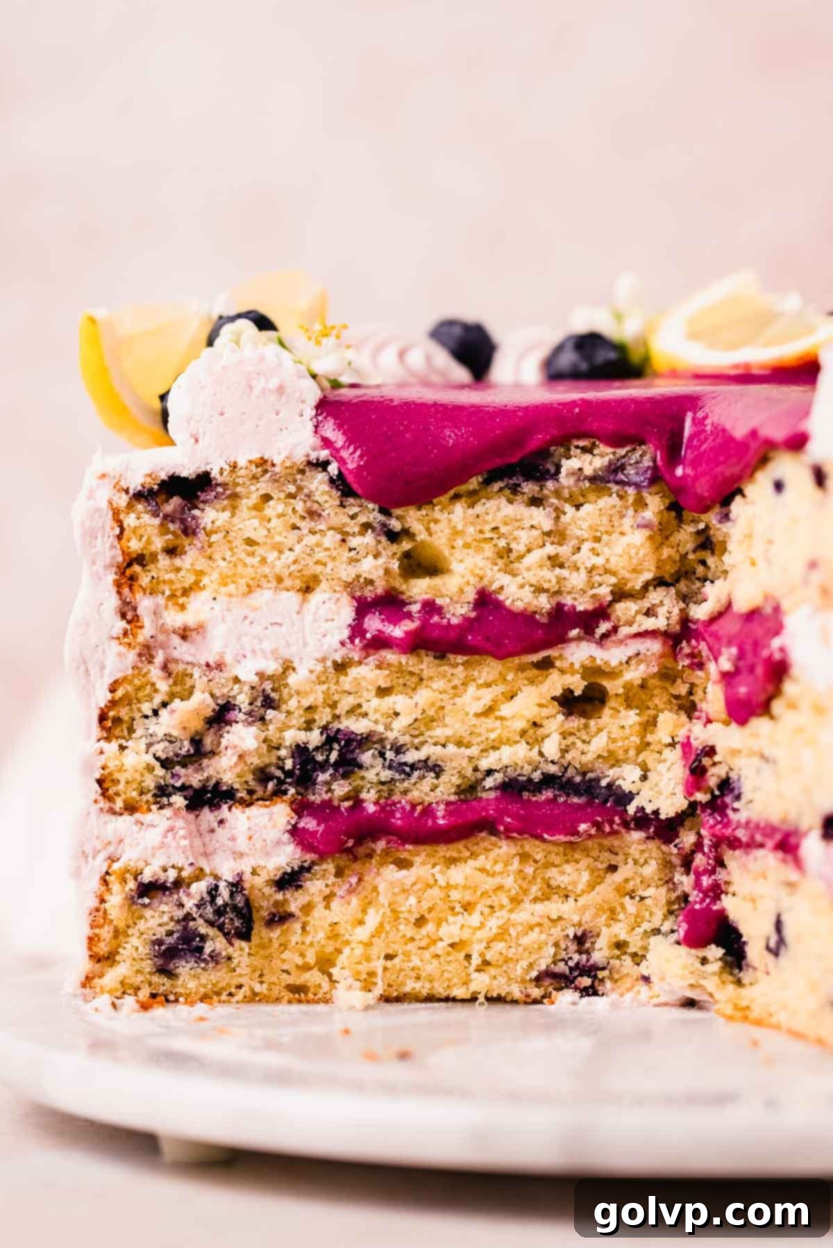 Closeup cross-section of a slice of moist blueberry lemon cake, revealing layers of fluffy cake, vibrant blueberry curd, and creamy white cream cheese frosting, garnished with fresh blueberries.