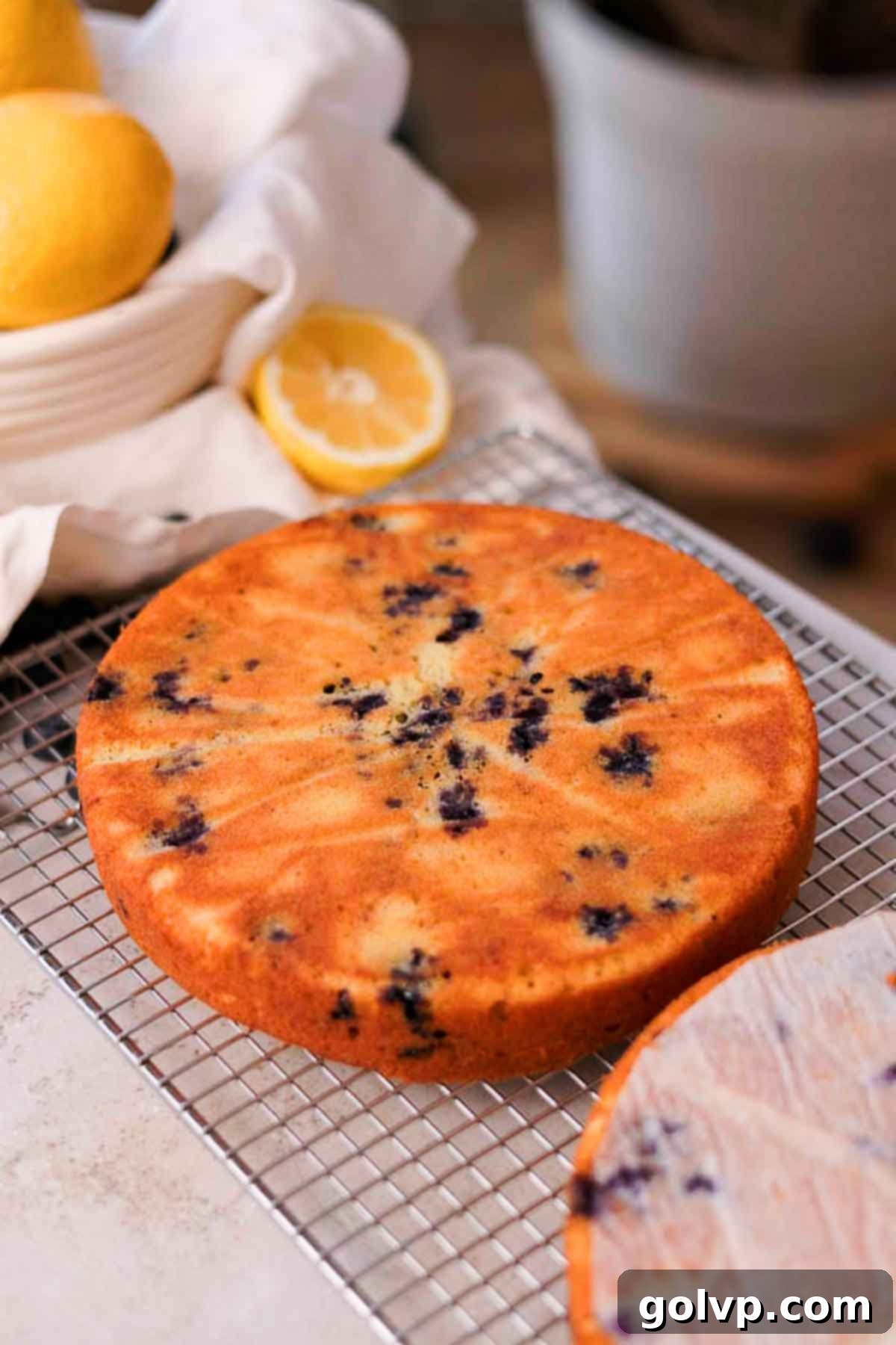 Baked blueberry lemon cake layers cooling on a metal wire rack after being removed from their pans.