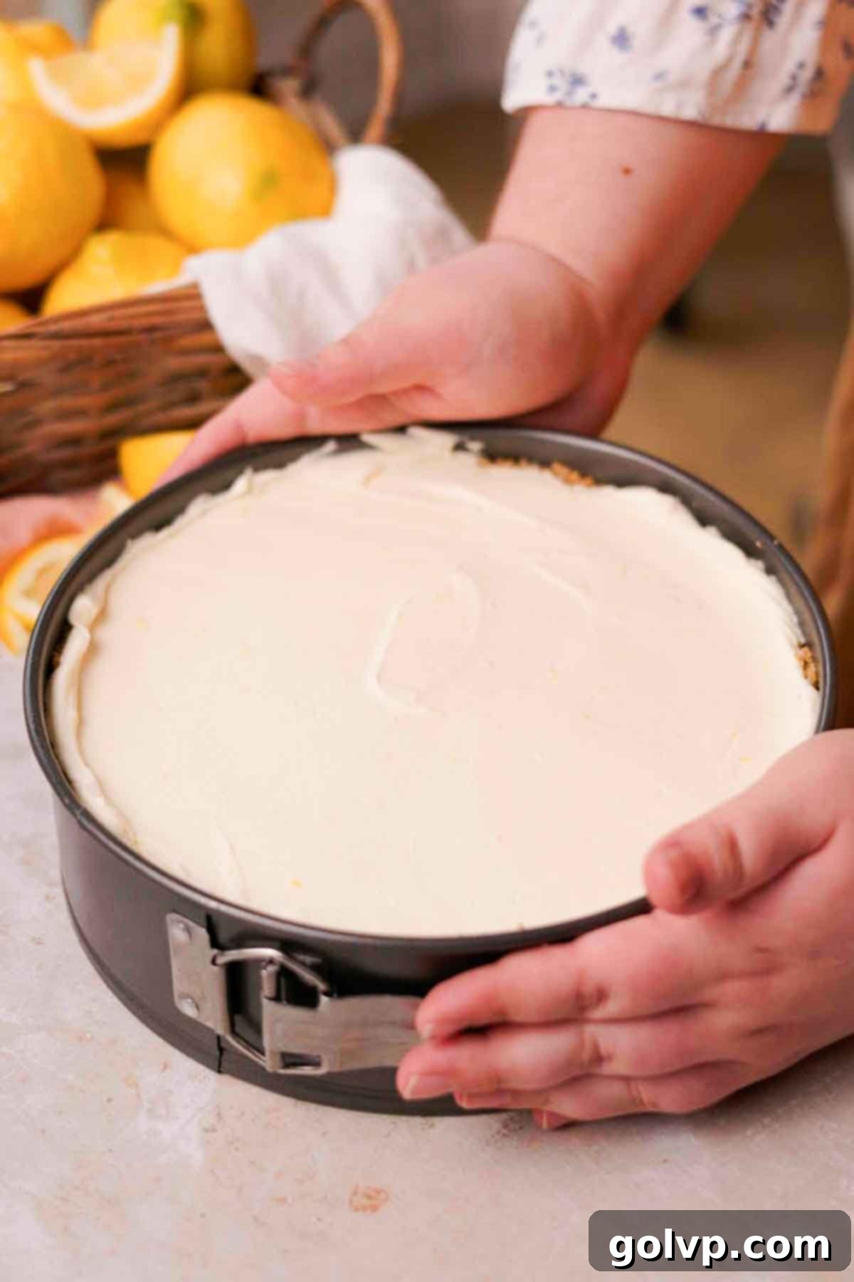 filled lemon cheesecake in a springform pan
