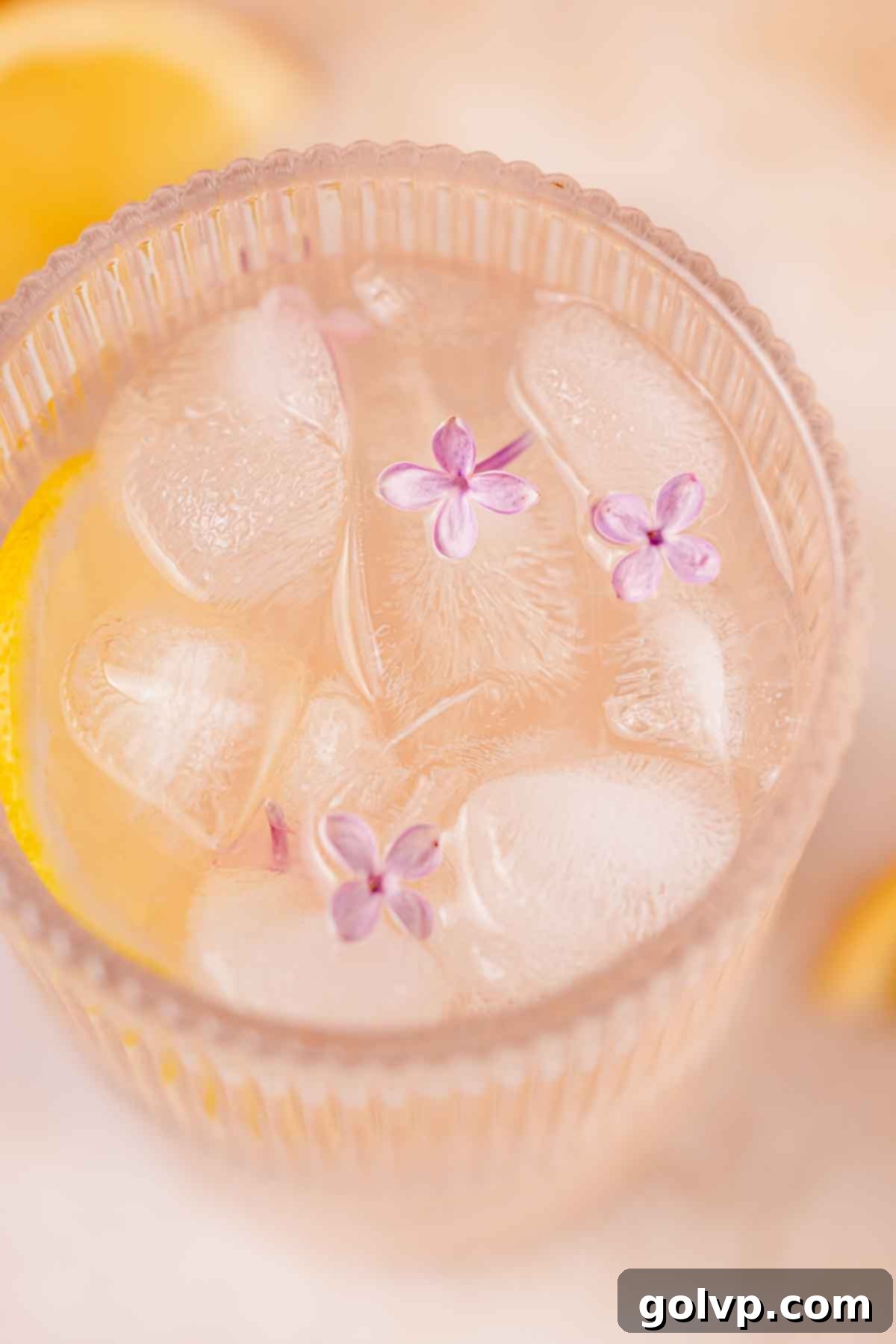 closeup of lilac lemonade in a glass with ice cubes and three lilac blossoms