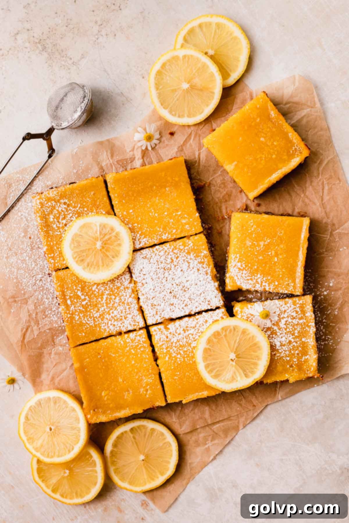 lemon bars dusted with powdered sugar with lemon slices on top