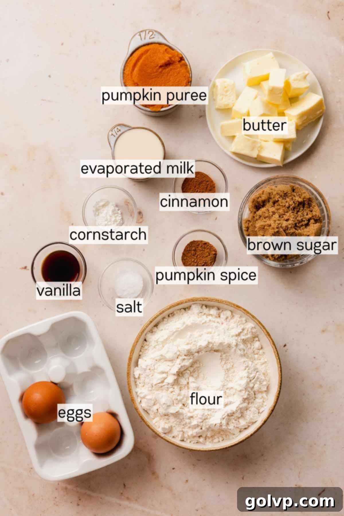 Visual representation of key ingredients laid out for making pumpkin pie cookies.