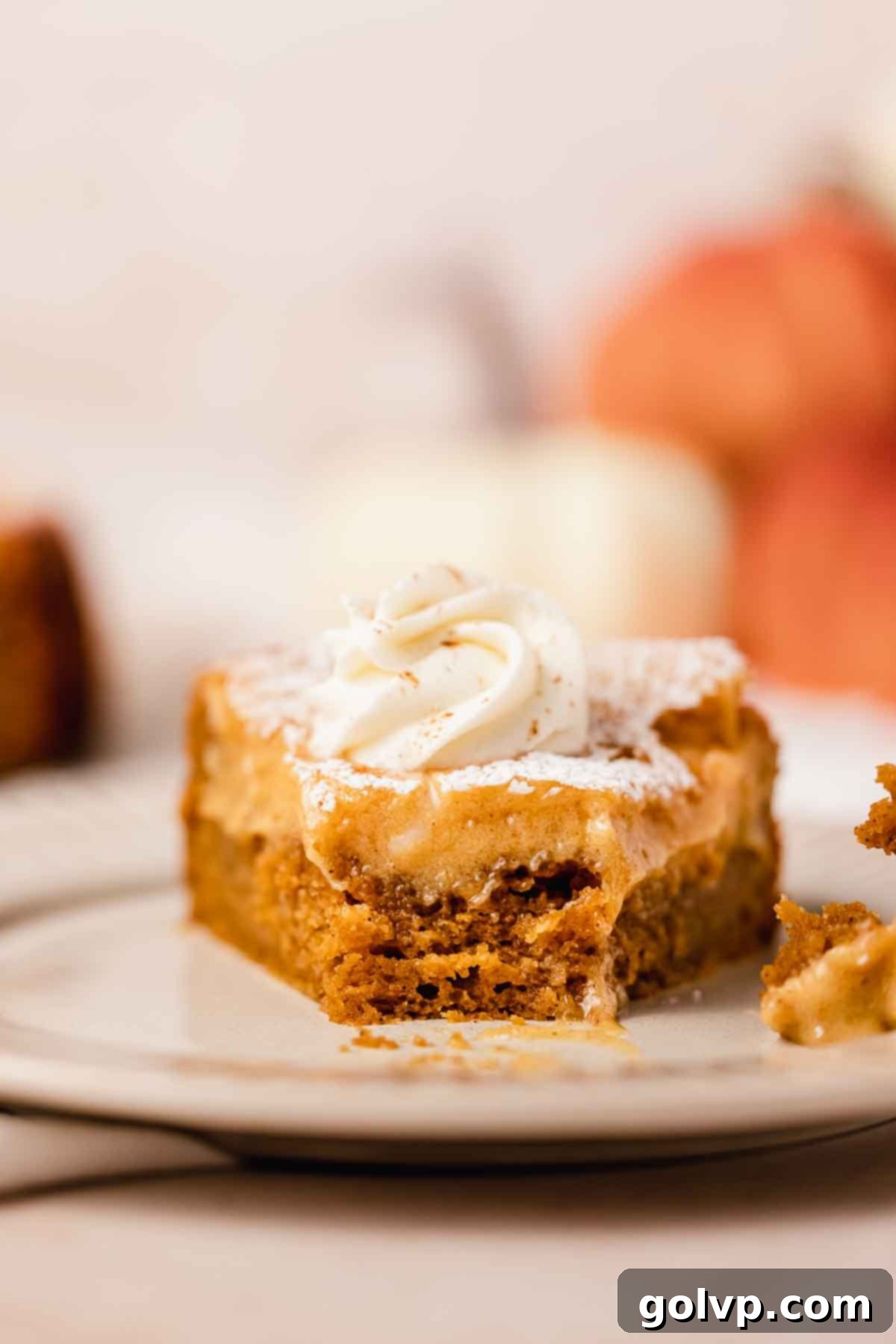 closeup of cake with bite taken
