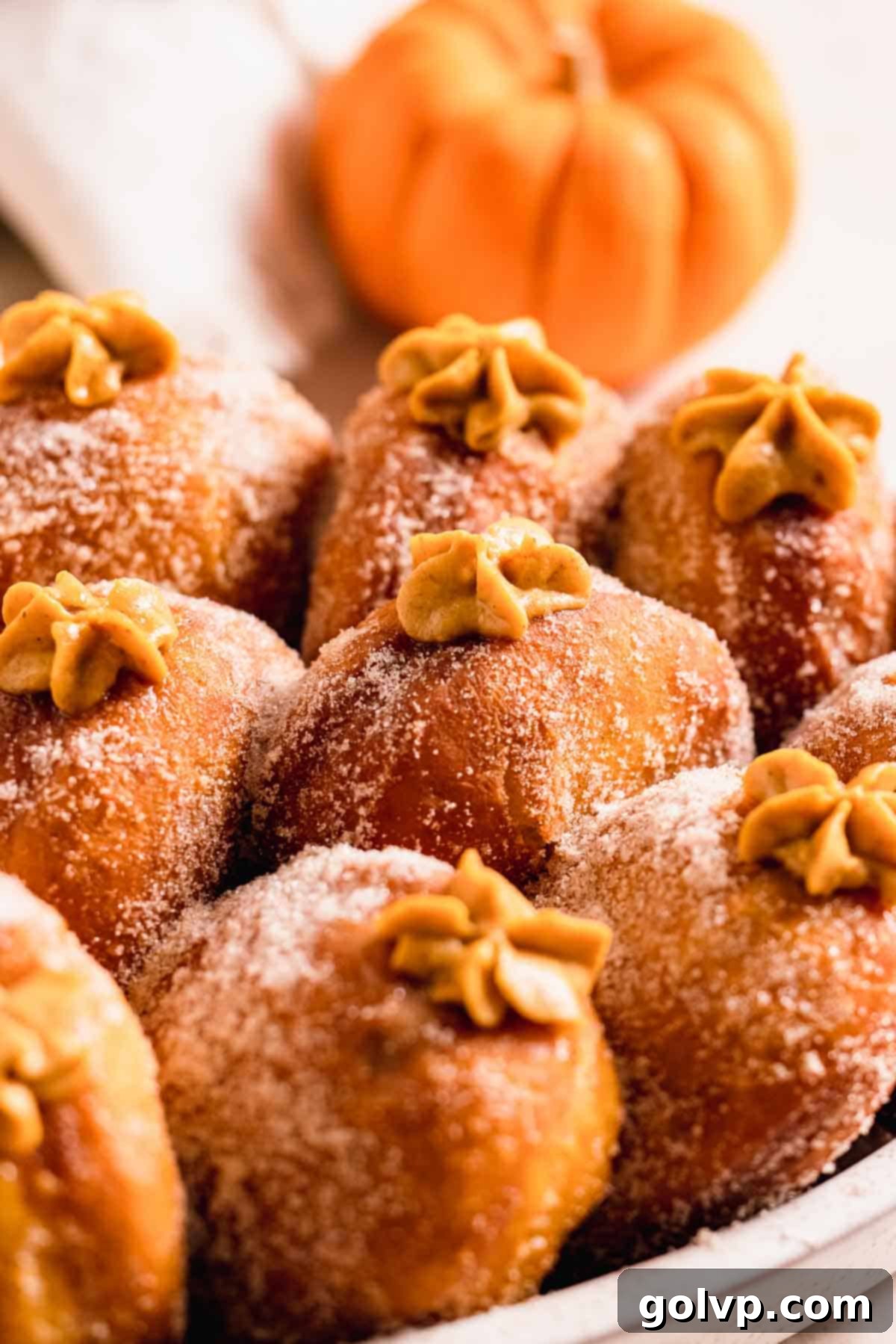Sugared pumpkin donuts, each adorned with elegant stars of creamy custard filling on top, creating a beautiful and enticing presentation.