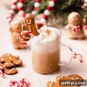 Closeup of a deliciously creamy homemade gingerbread latte, garnished beautifully for the holidays.