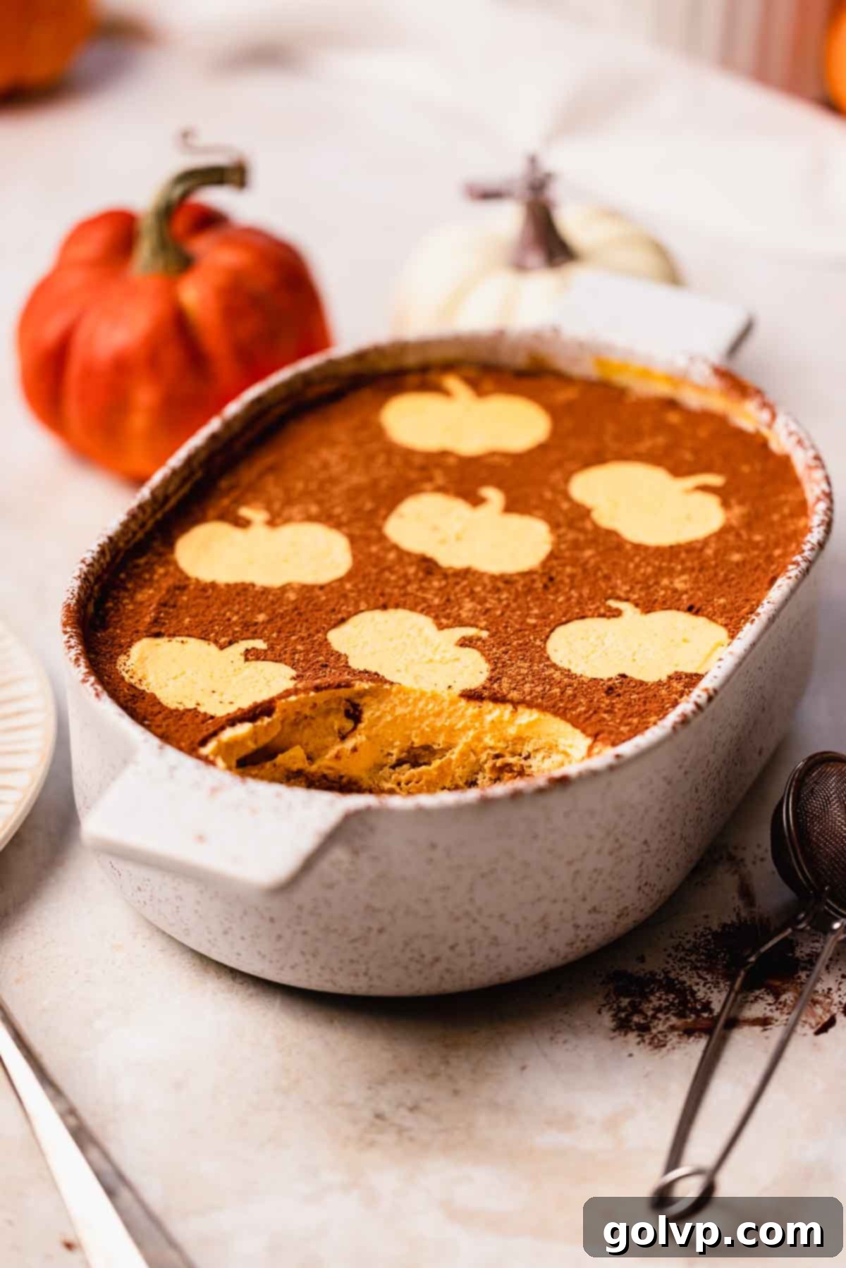 Close-up of creamy pumpkin tiramisu layers with ladyfingers