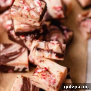 Indulgent Peppermint Fudge 11 Bitten piece of peppermint swirl fudge, highlighting the creamy texture and peppermint crunch.