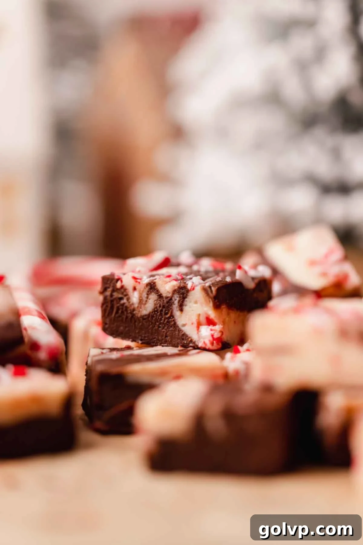 Indulgent Peppermint Fudge 3 Close-up of a square of swirled peppermint fudge, showing the intricate marble pattern of white and dark chocolate, adorned with crushed peppermint candy.