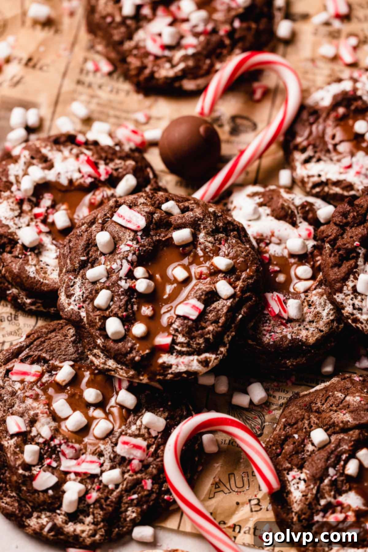 hot chocolate cookies with mini marshmallows and candy cane pieces