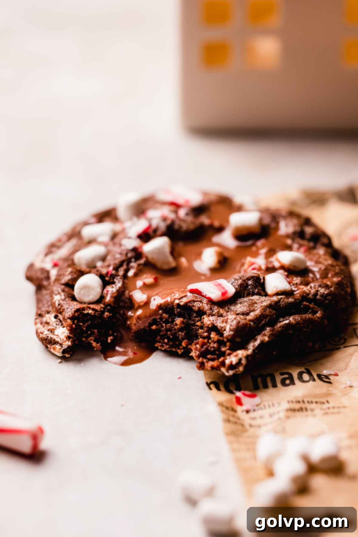 hot chocolate cookies with bite missing