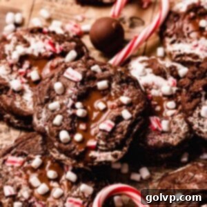hot chocolate cookies