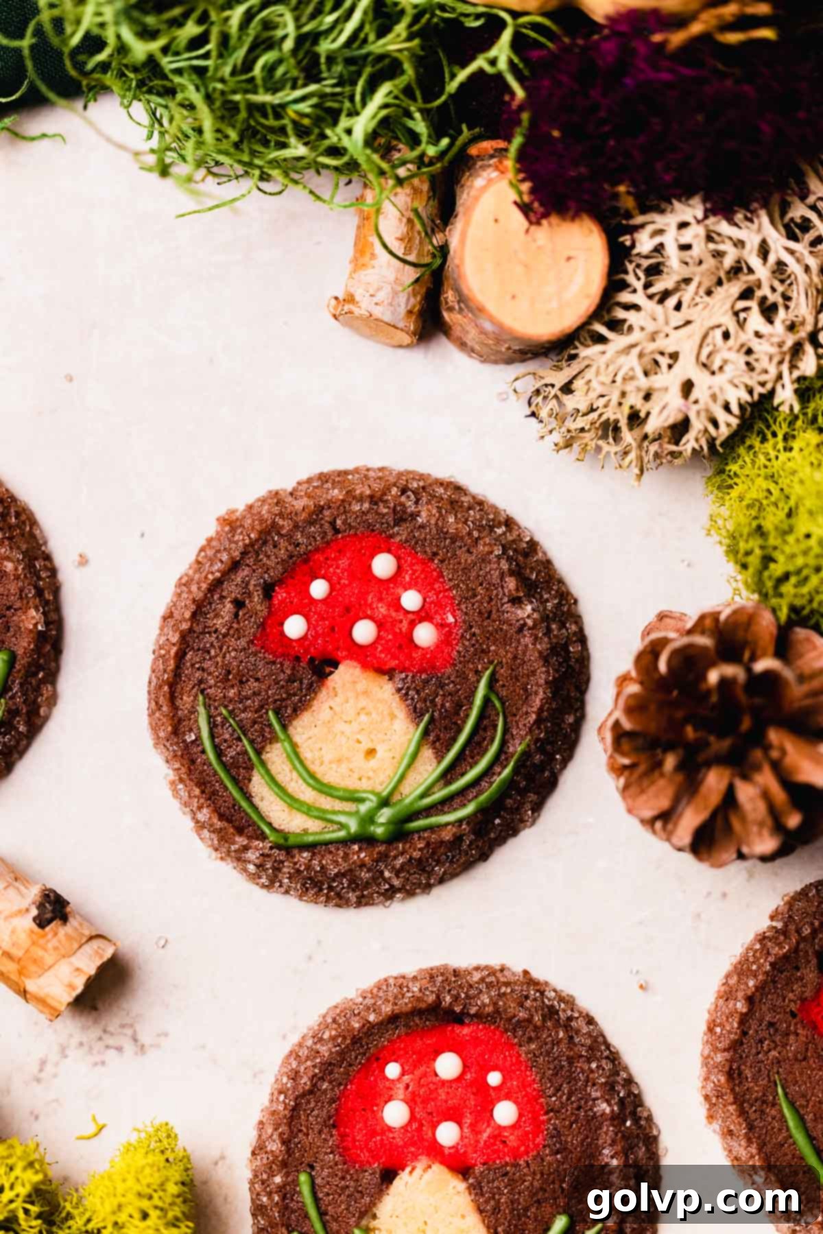 chocolate vanilla mushroom cookie showing the detailed interior design