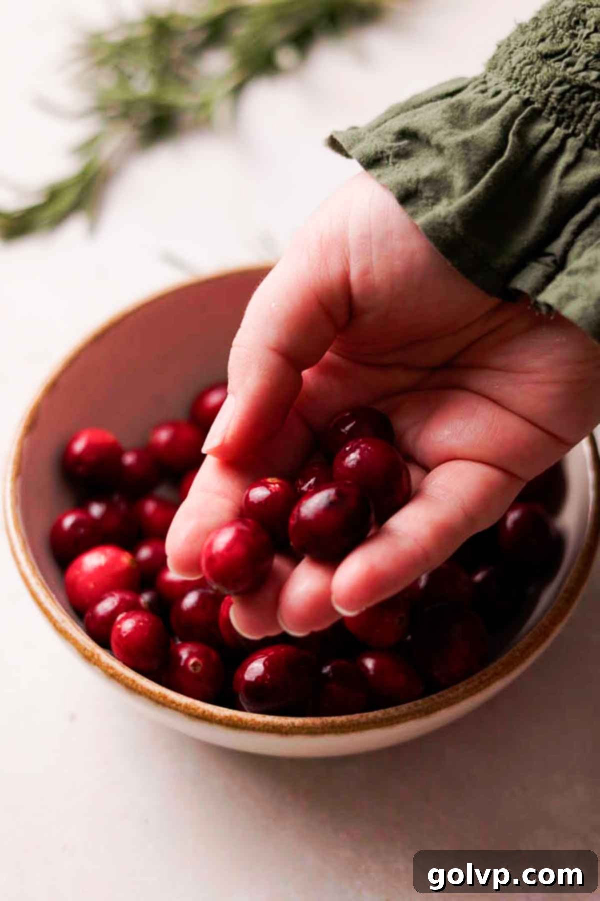 freshly washed cranberries in a bowl