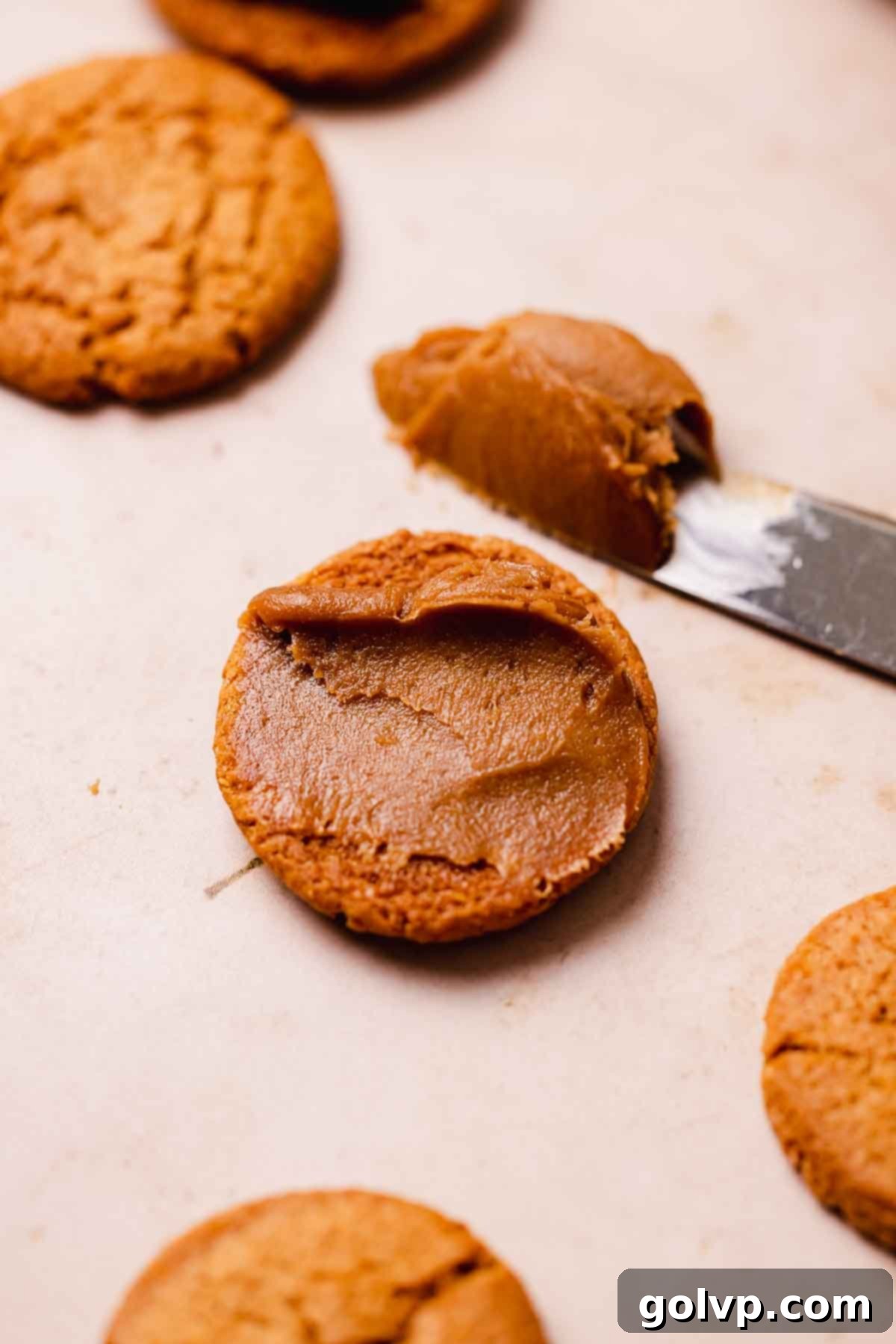 homemade cookie butter spread on cookie closeup