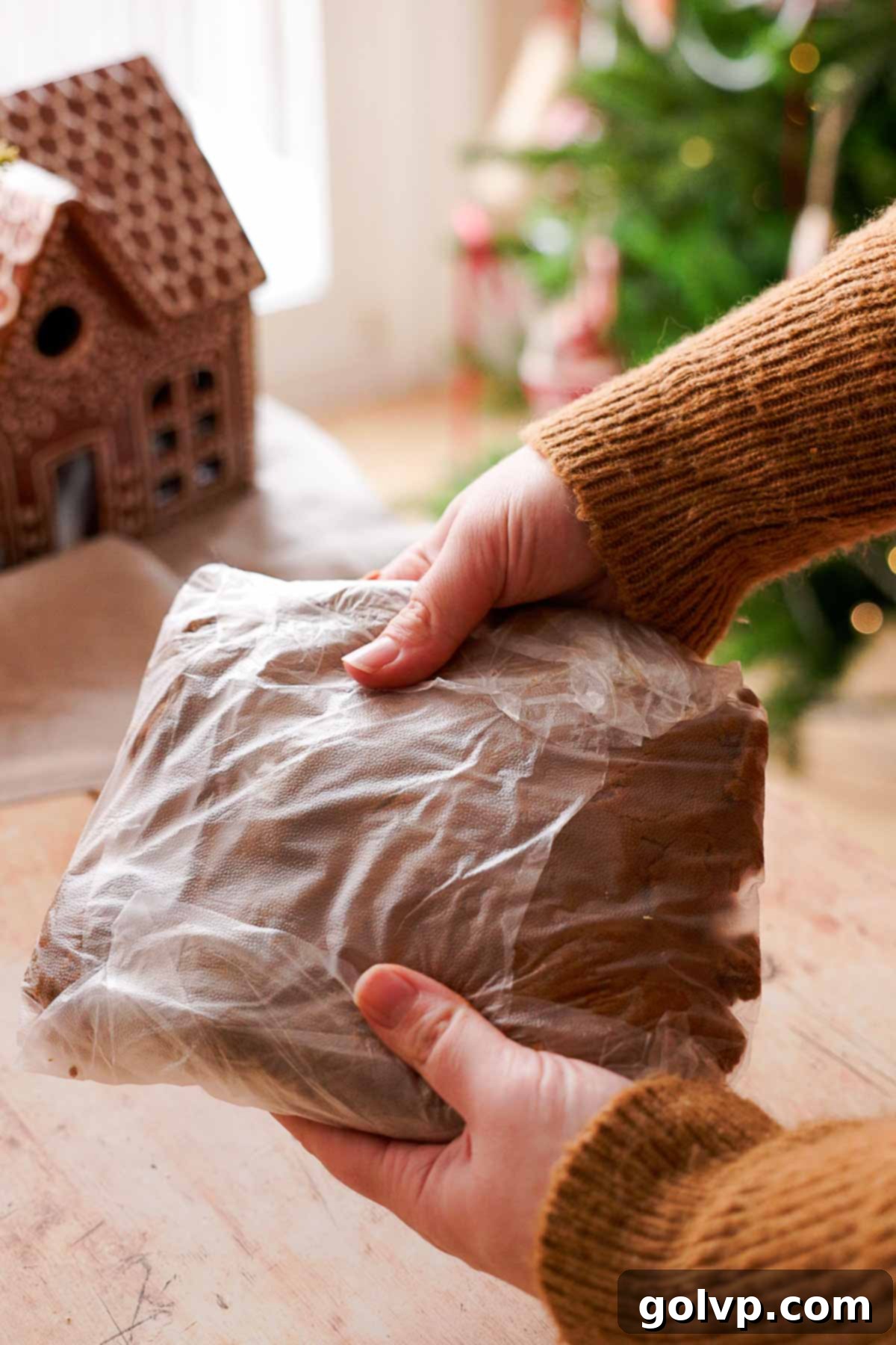 gingerbread cookie dough wrapped up in plastic wrap