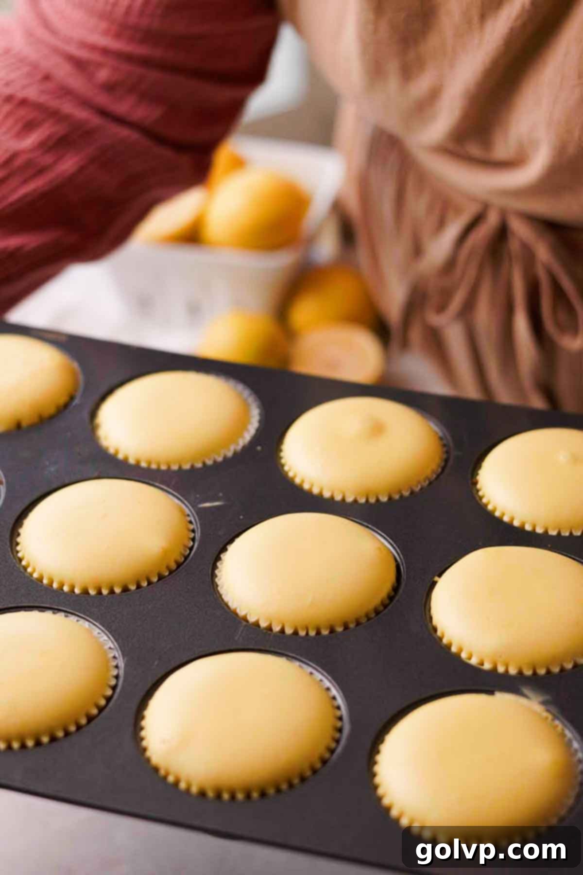 Sunshine Lemon Cheesecakes 12 baked lemon mini cheesecakes out of the oven