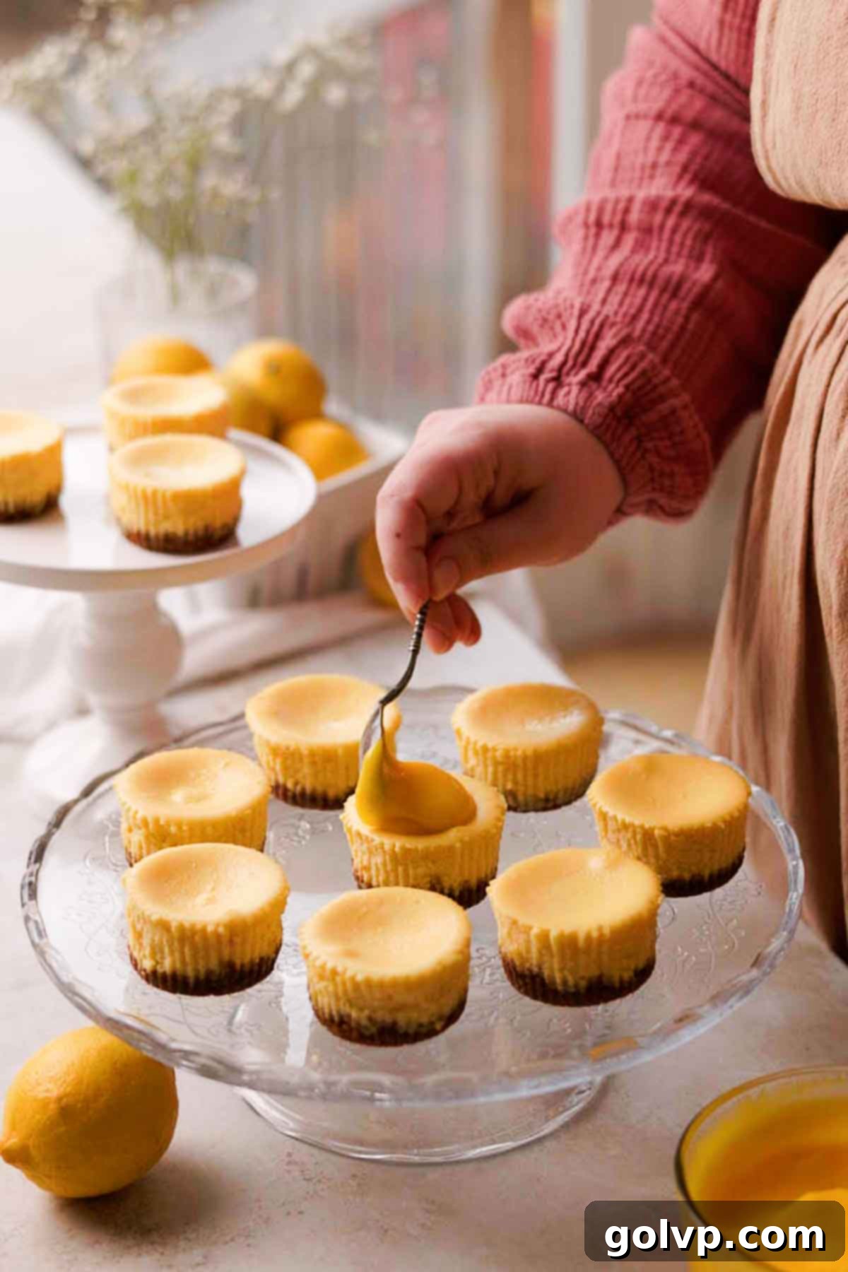 Sunshine Lemon Cheesecakes 13 topping cheesecakes with lemon curd