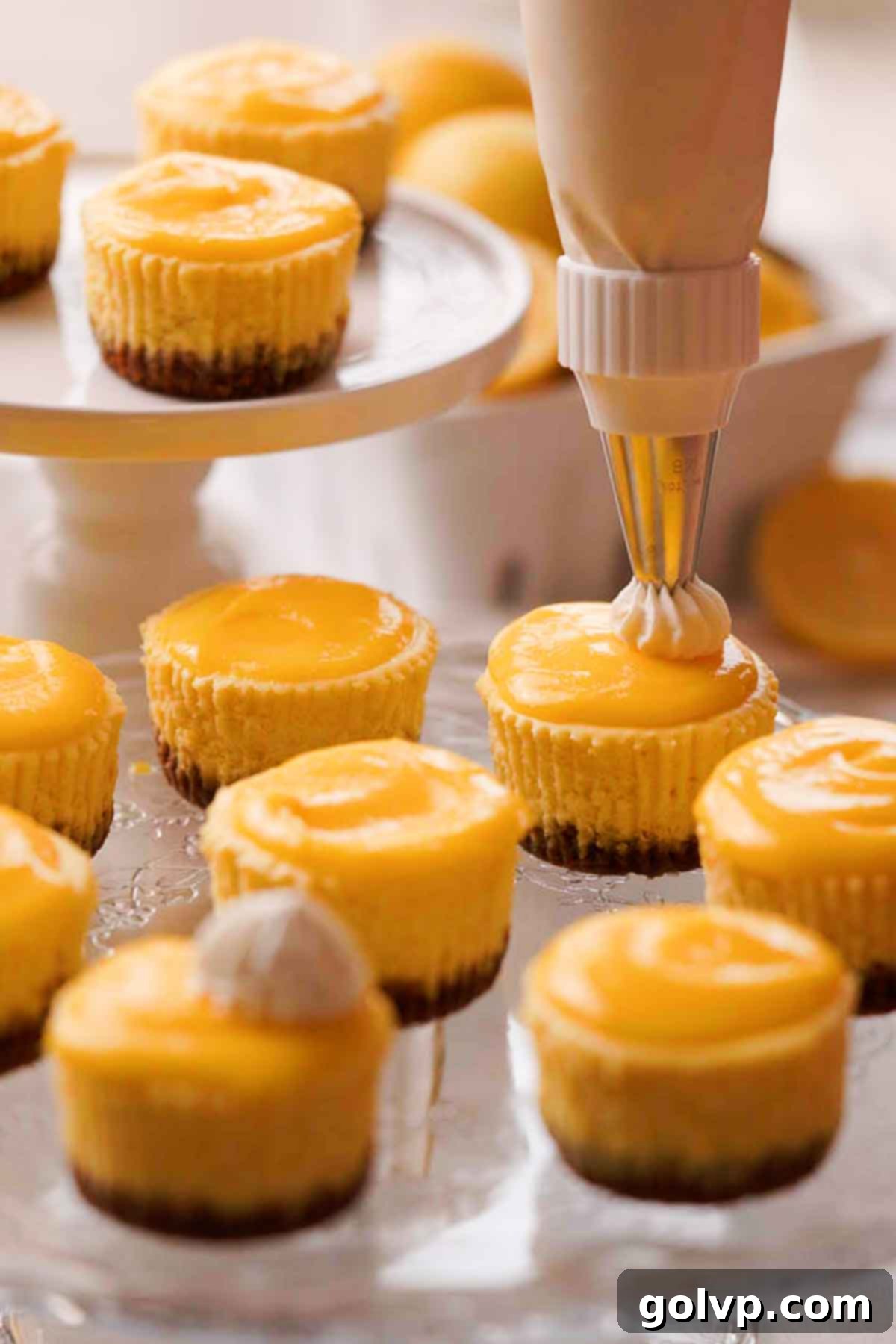 Sunshine Lemon Cheesecakes 14 piping dollops of whipping cream onto mini lemon cheesecakes