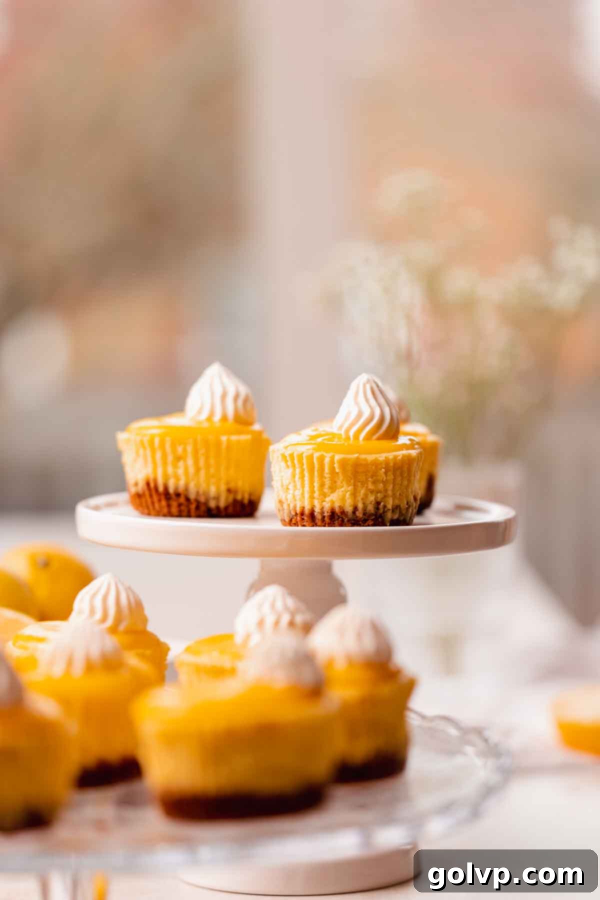 Sunshine Lemon Cheesecakes 15 lemon mini cheesecakes on cake stand with various fruits in background