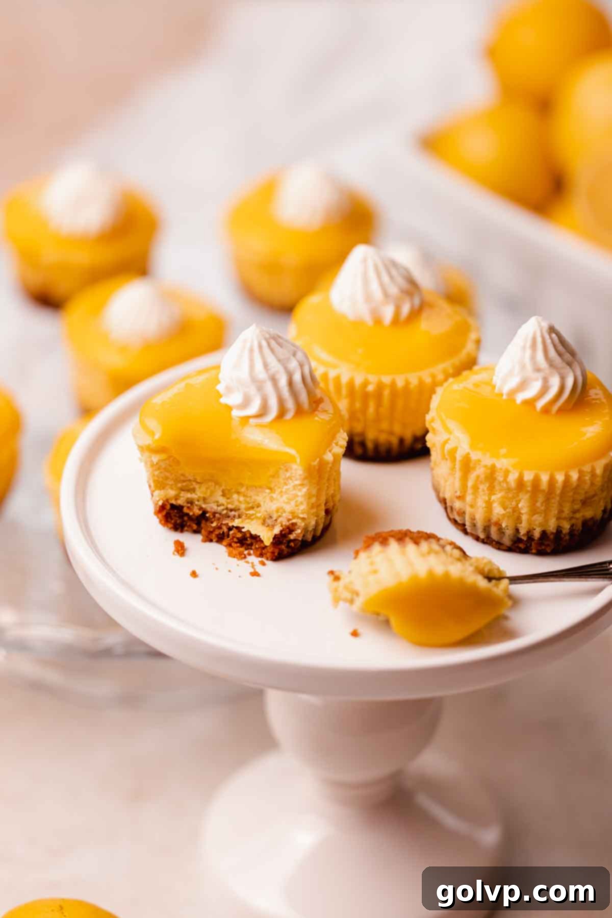 Sunshine Lemon Cheesecakes 16 mini cheesecakes with lemon curd and whipped cream stacked on a white plate