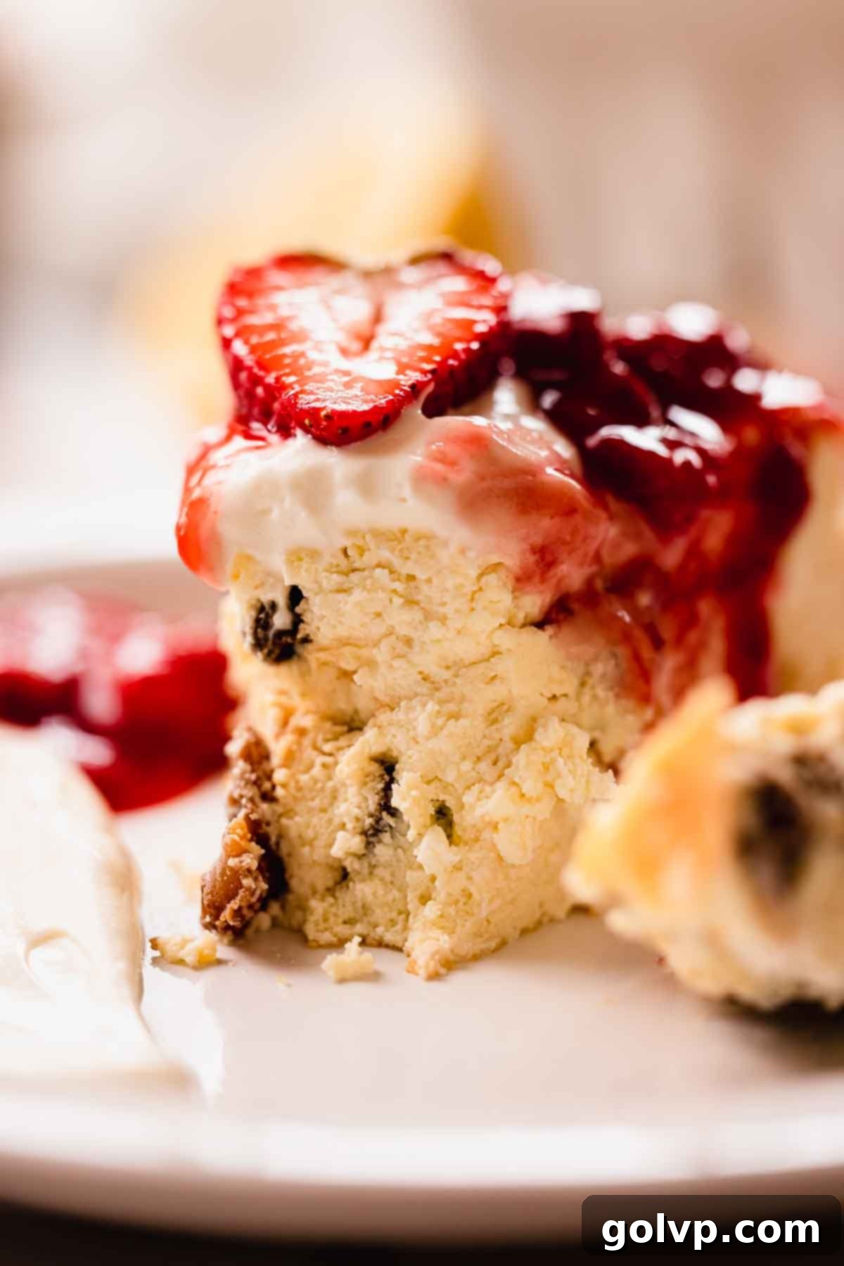 closeup of cottage cheese cheesecake texture