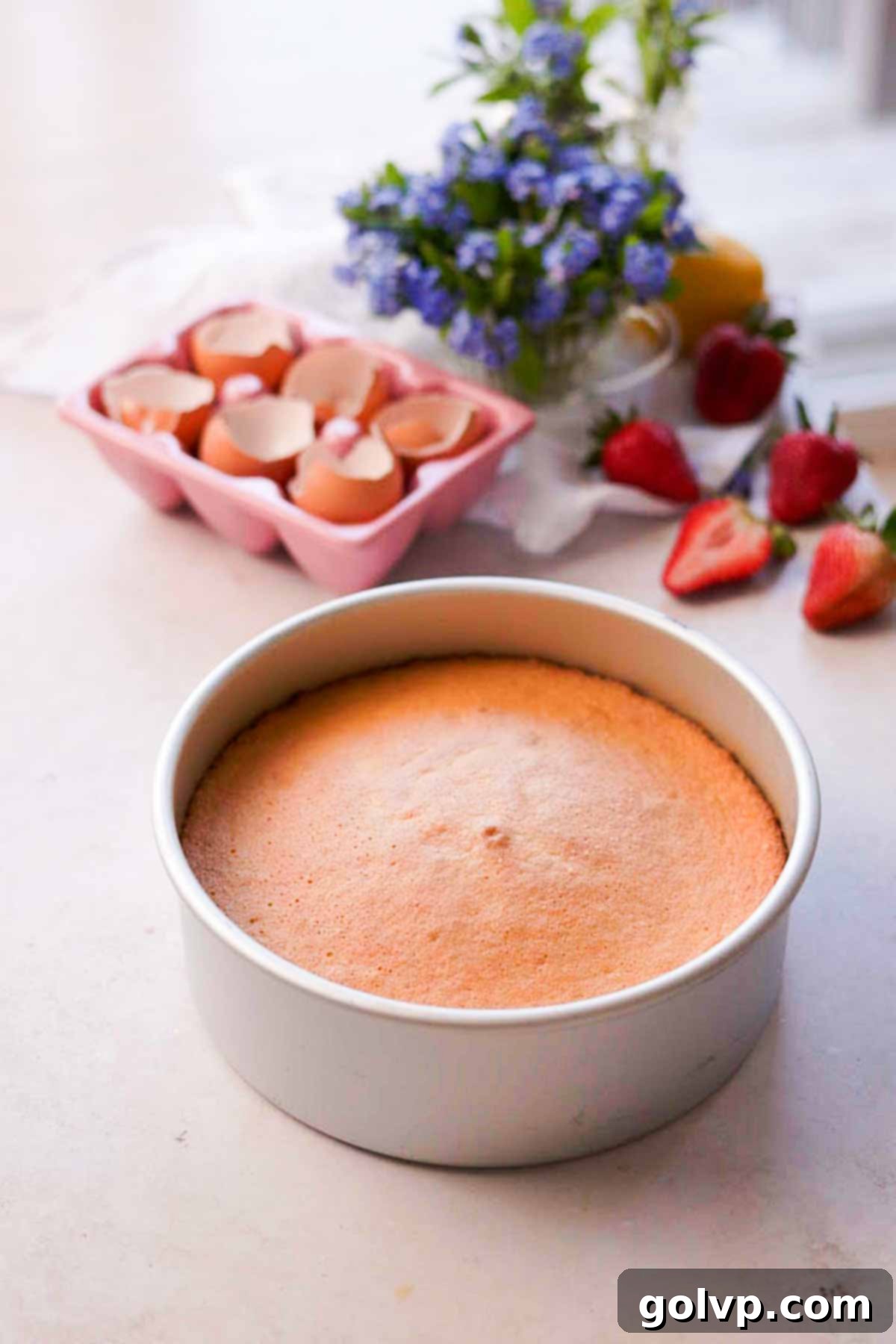 Baked chiffon cake inside of cake pan