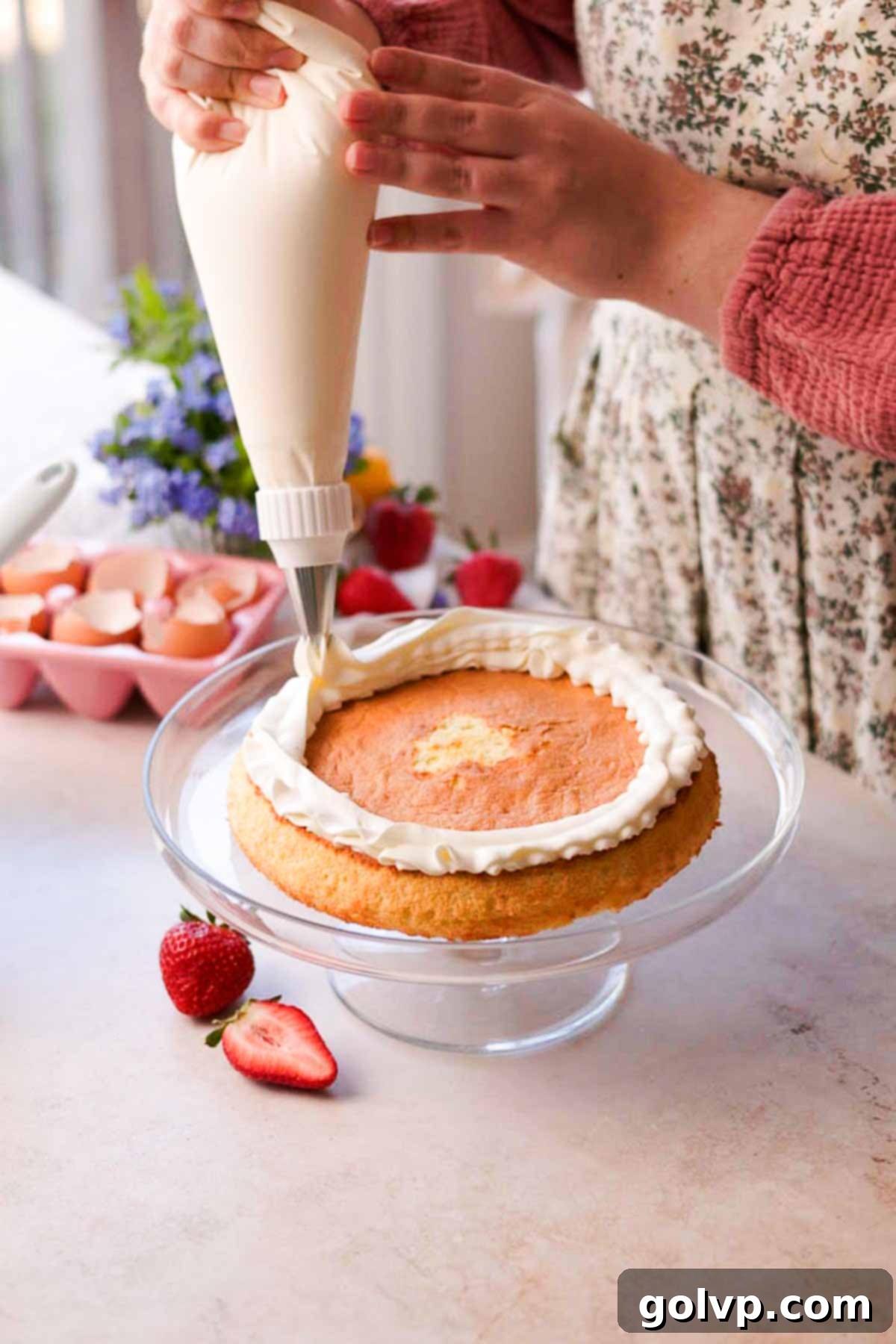 piping cream border around chiffon cake layer