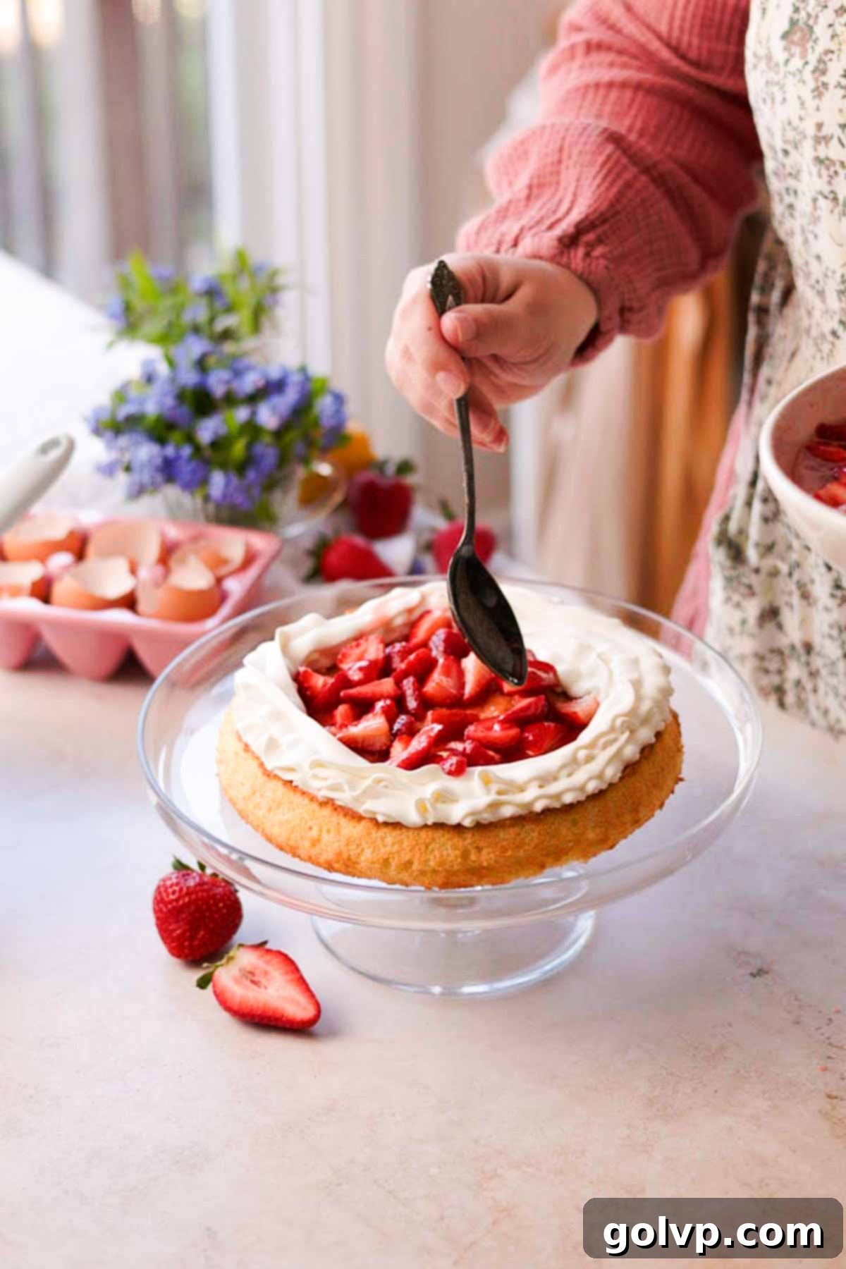 adding macerated strawberries on top of a chiffon cake layer with a ring of whipped cream frosting