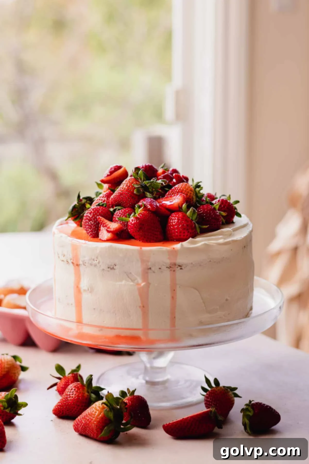 strawberry vanilla chiffon cake with fresh strawberries