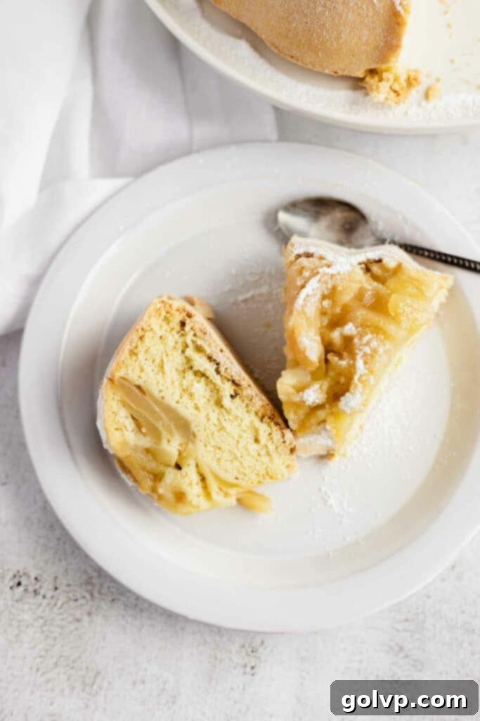 Two generous slices of Sharlotka apple cake dusted with powdered sugar, served on a white plate with a spoon, highlighting its fluffy texture and apple chunks.