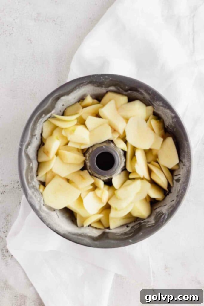 Sliced apples arranged neatly at the bottom of a Bundt pan, ready for the Sharlotka batter.