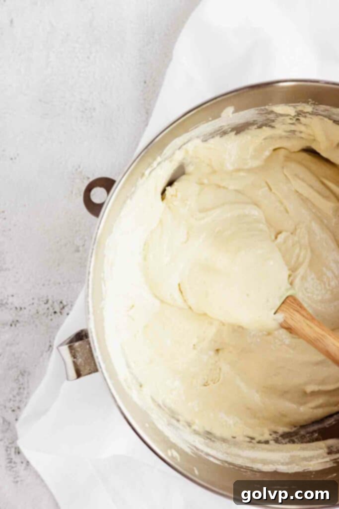 The prepared Sharlotka batter, light and fluffy, before being poured over the apples in the cake pan.