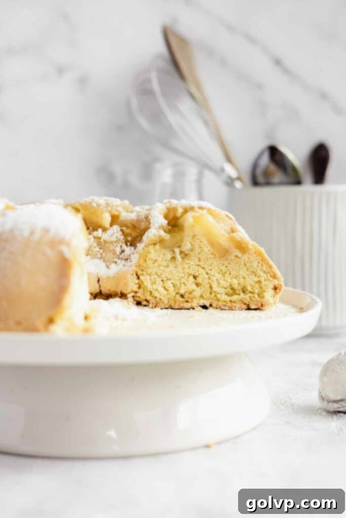 A cross-section view of a fluffy Sharlotka apple cake slice, revealing the perfectly baked sponge and tender apple pieces within, dusted with powdered sugar.