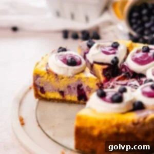 sliced lemon blueberry cheesecake with visible inside texture