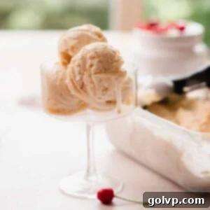 Nutty Brown Butter Ice Cream 14 Close up of brown butter ice cream scoops sitting in an ice cream glass.