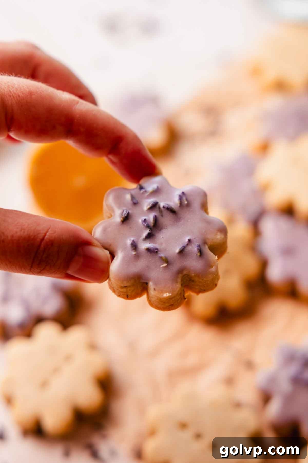 holding lemon glazed lavender shortbread cookie