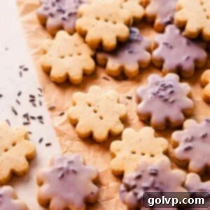 lavender shortbread cookies on parchment paper