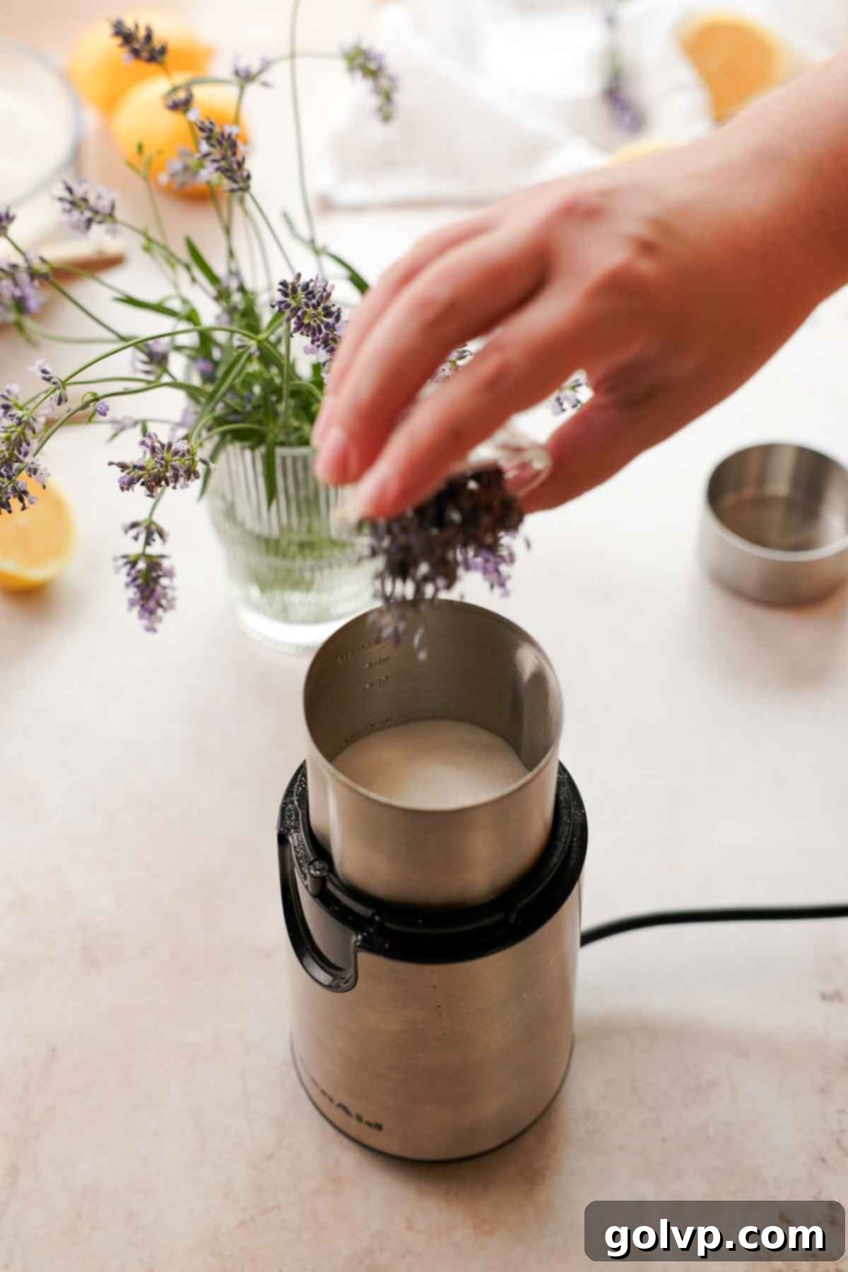adding dried lavender buds into coffee blender with sugar