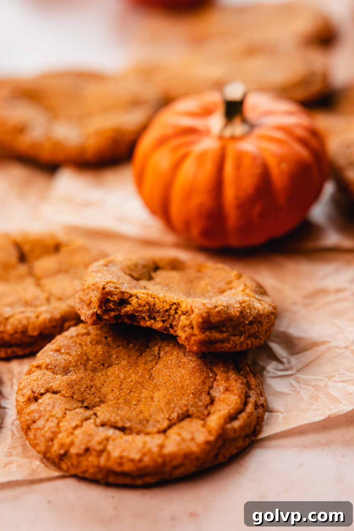 bitten pumpkin spice snickerdoodle cookie on parchment paper