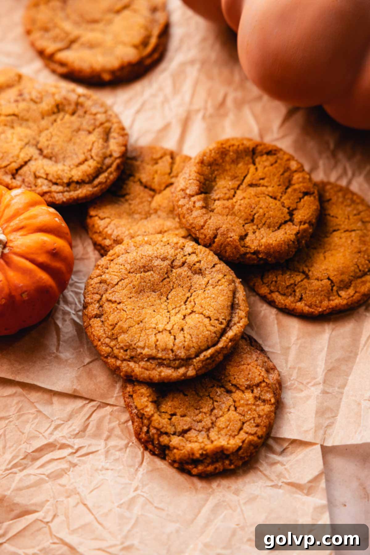 pumpkin snickerdoodle cookies covered in sugar