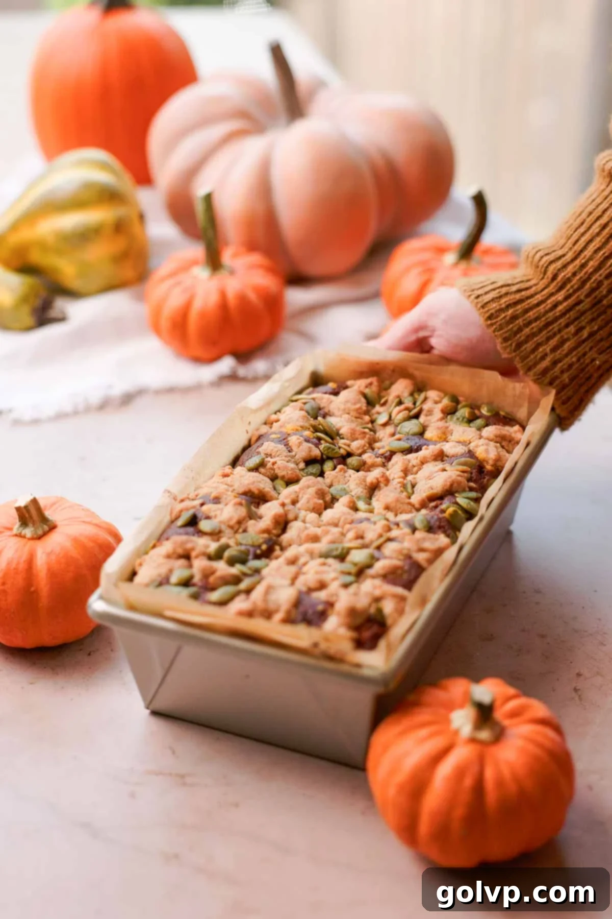 Autumn Pumpkin Streusel Cream Cheese Delight 14 baked cream cheese streusel bread in parchment lined metal loaf tin